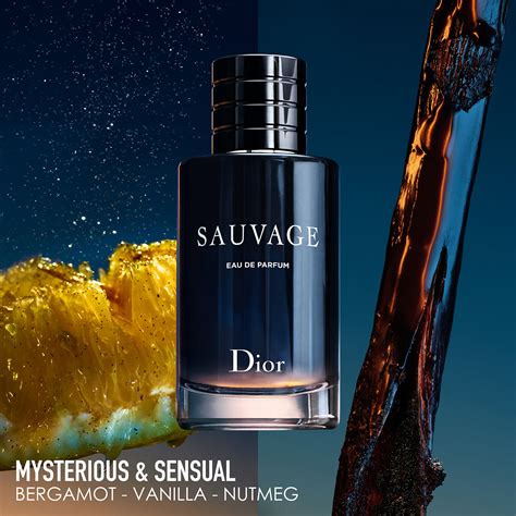 prezzo dior savage parfum 100 ml douglas|dior sauvage cologne top notes.